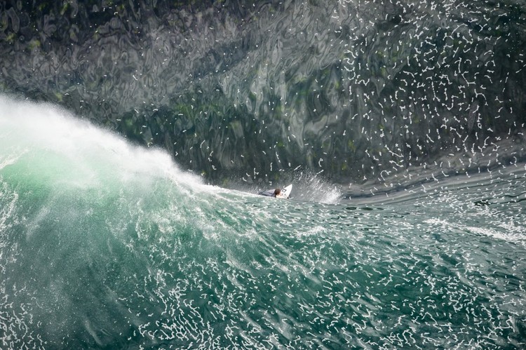 As fotos do concurso da National Geographic