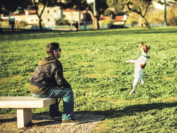 11 Características masculinas que as mulheres acham atraentes