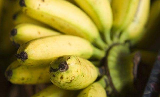 15 alimentos en peligro de extinción