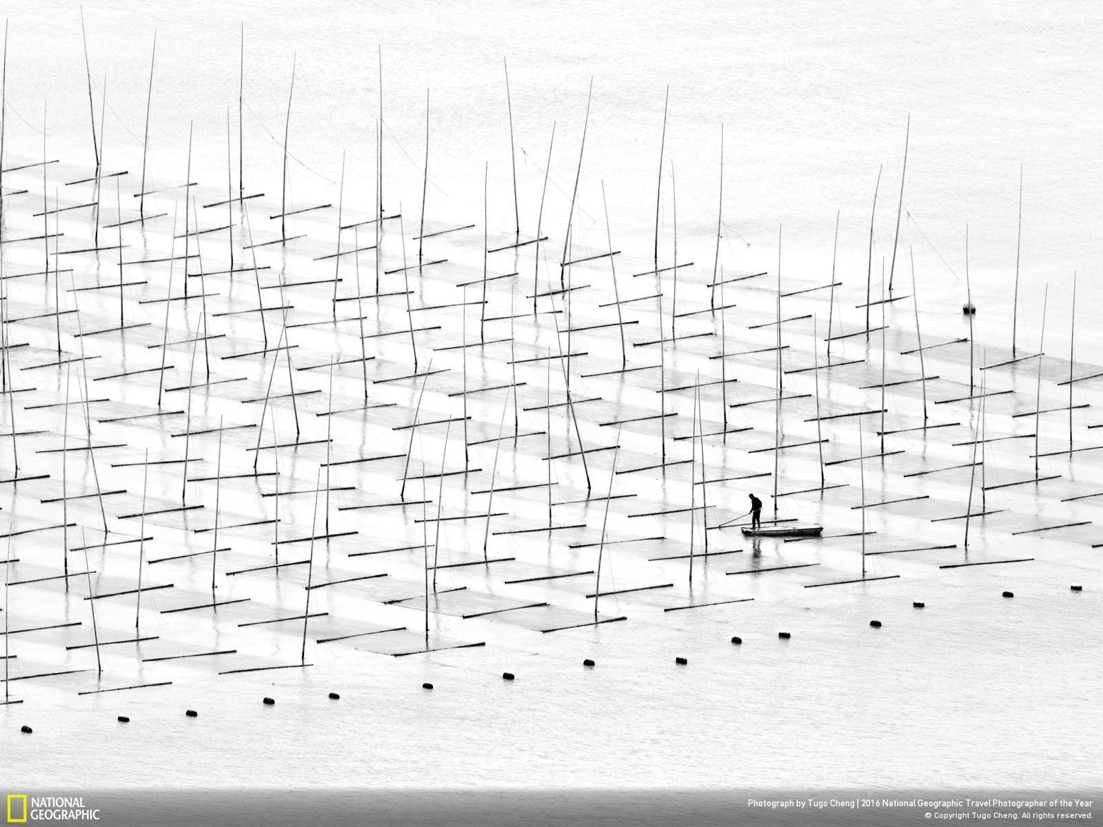 47 fotos impresionantes del concurso de fotografía Fotógrafo de Viajes de National Geographic