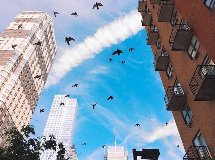 18 fotos que no creerá que se hicieran con un iPhone