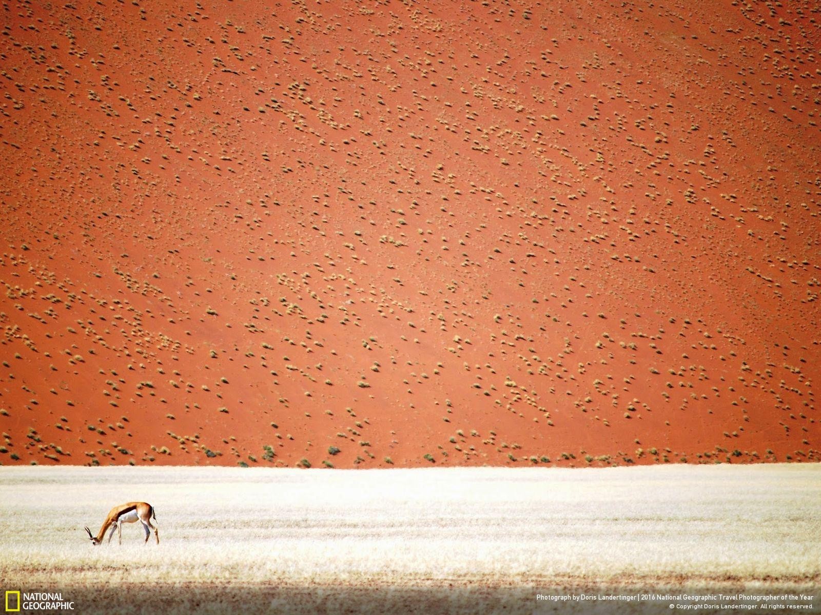 47 fotos impresionantes del concurso de fotografía Fotógrafo de Viajes de National Geographic