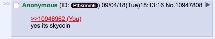 Gonzo Crypto Blog - Week Nine: Scam you Silly