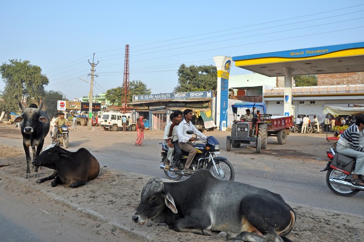 نتائج انخفاض أسعار النفط في عام 2015