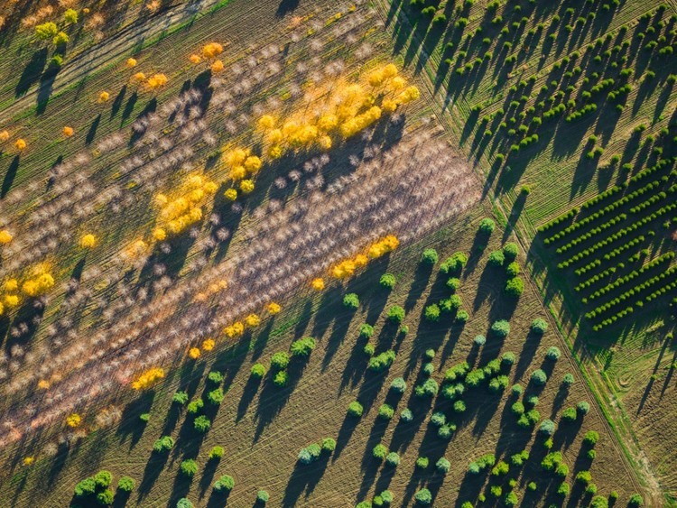 أول طيار إنستاجرام 