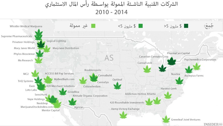 الشركات القنبية الناشئة