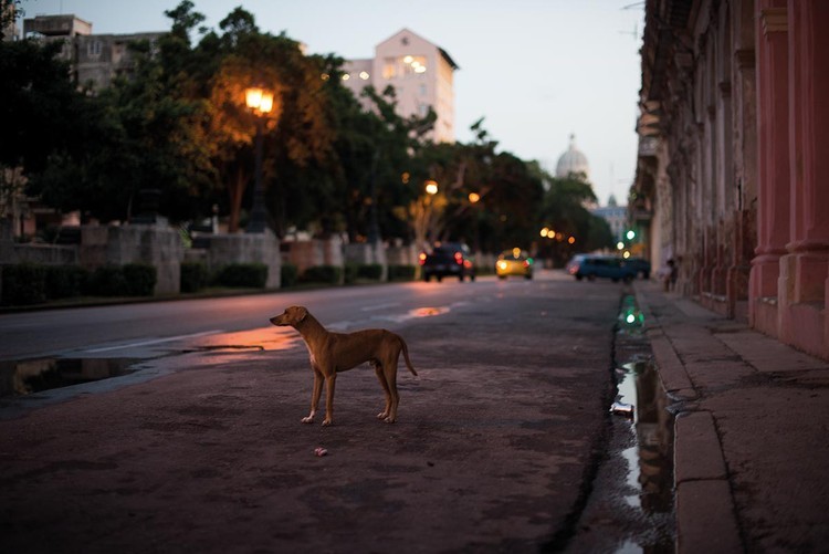 Os fotógrafos de viagens devem ter um bloco de notas