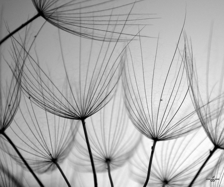 22 Fotografias que são um hino ao minimalismo