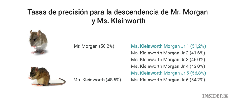 Cuando convertí ratones en corredores de bolsa