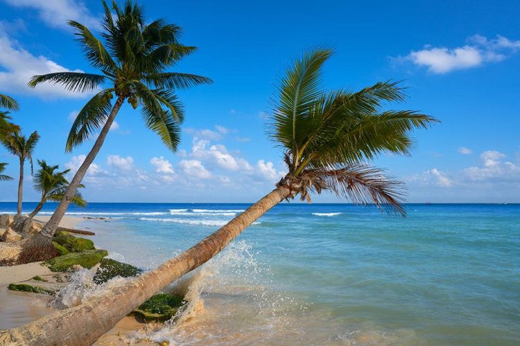 Desde las Islas Cook hasta Islandia: las 50 mejores playas del mundo