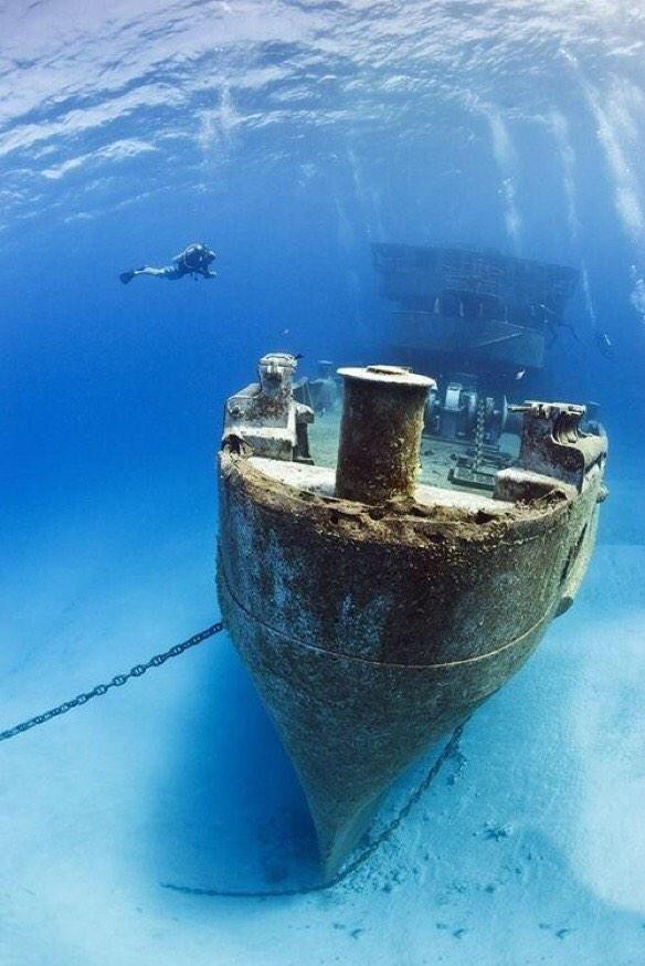 Segredos do fundo do mar