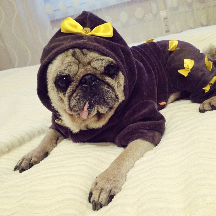 هل هناك حياة بعد الخامسة والعشرين