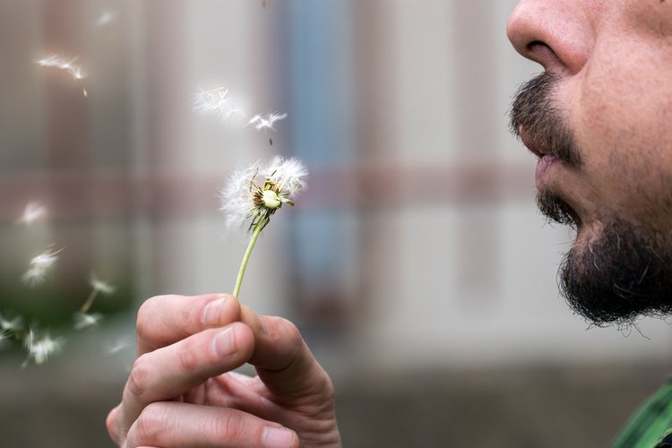 7 bugie amate dai fan del bitcoin e delle altcoin