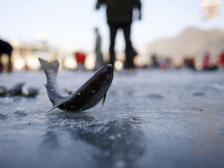 12 supersticiones sobre el dinero