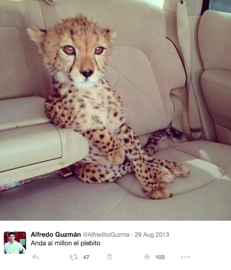 Os filhos de “El Chapo” ostentam riqueza nas redes sociais