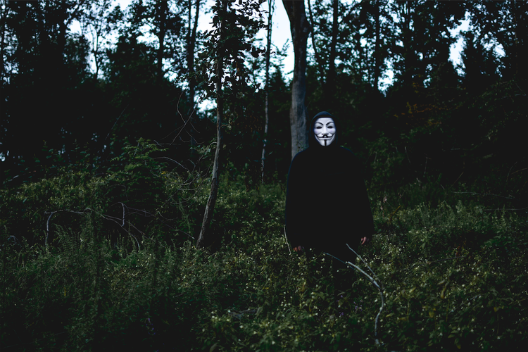 Quantas «bitcoins» deve comprar