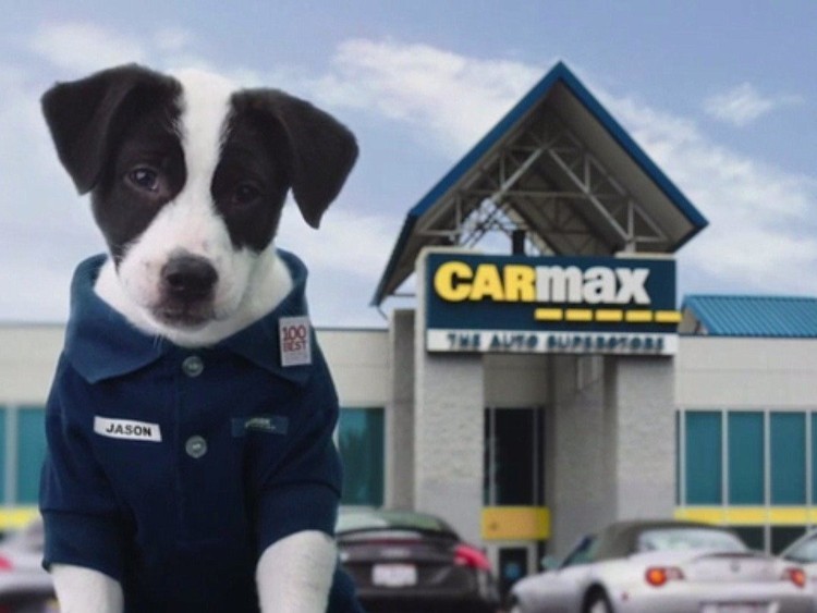 16 Ações quase imunes aos problemas do mercado