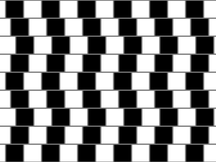  17 خدعة بصرية 