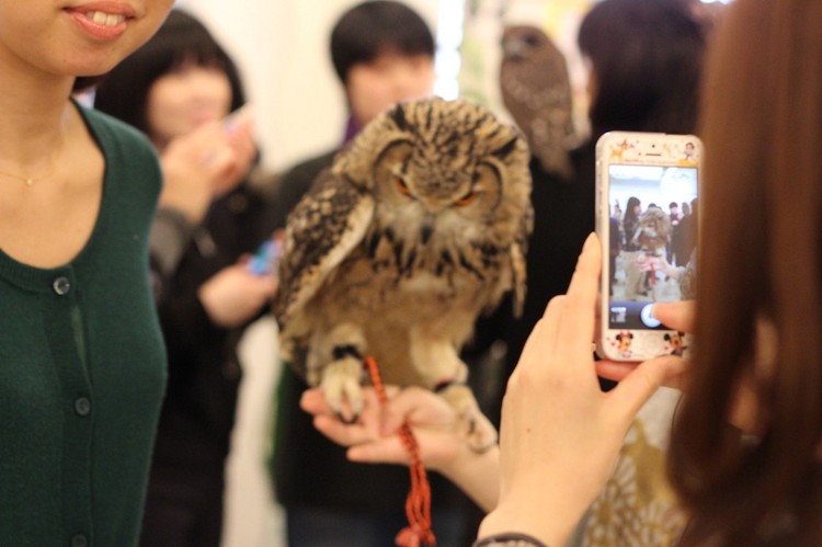 10 أماكن مدهشة في اليابان